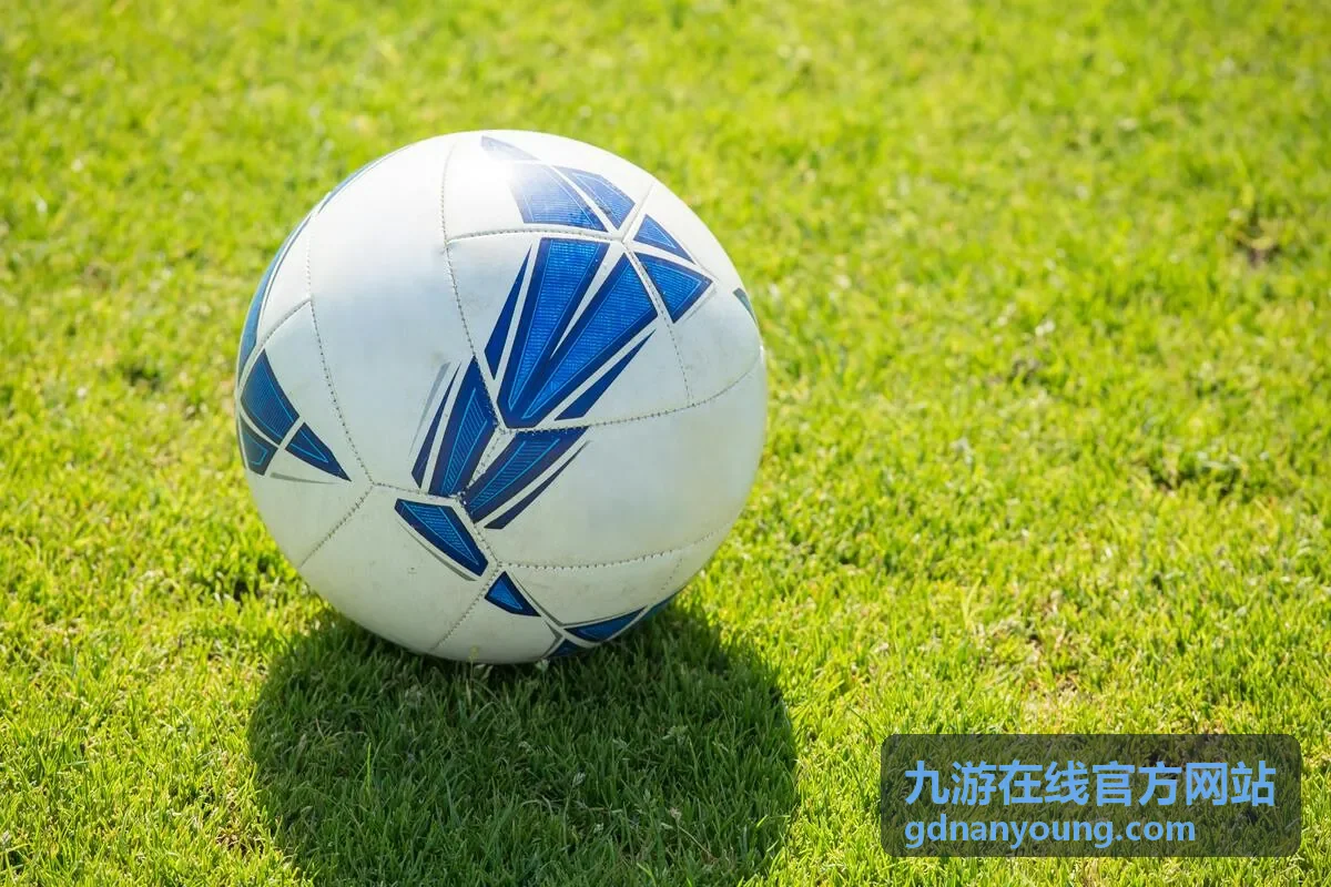 九游在线官方网站平台入口界面预览图